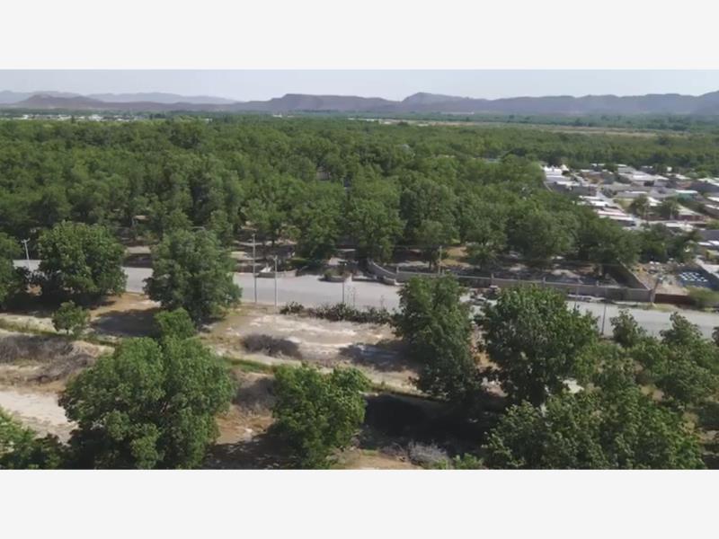Terreno en venta en Parras de la Fuente Centro, Parras — foto 1 de 18
