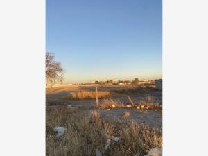 Terreno en venta en Ciudad Industrial, Torreón — foto 3 de 4
