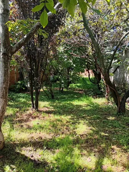 Terreno en venta en Calayuco, Juchitepec — foto 3 de 4