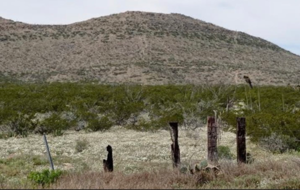 Terreno en venta en Paredón, Ramos Arizpe — foto 3 de 9