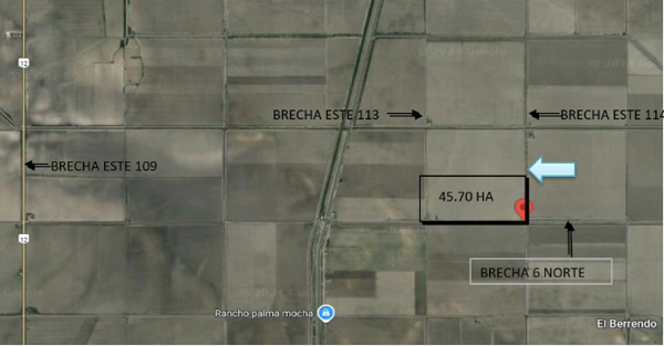 TERRENO AGRICOLA EN VENTA, CARR MATAMOROS-RIO BRAVO