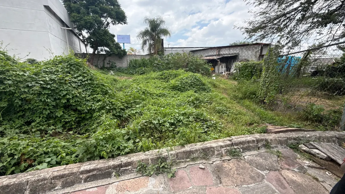 Terreno en renta en San Jose del Consuelo, León — foto 1 de 9