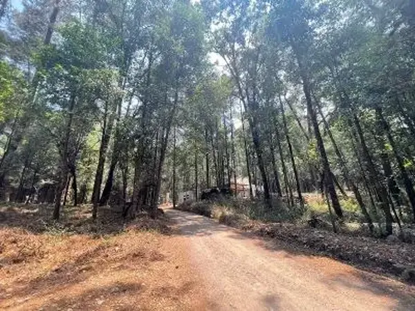 Terreno en venta en San Simón el Alto, Valle de Bravo — foto 2 de 5