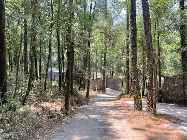 Terreno en venta en San Simón el Alto, Valle de Bravo — foto 3 de 5