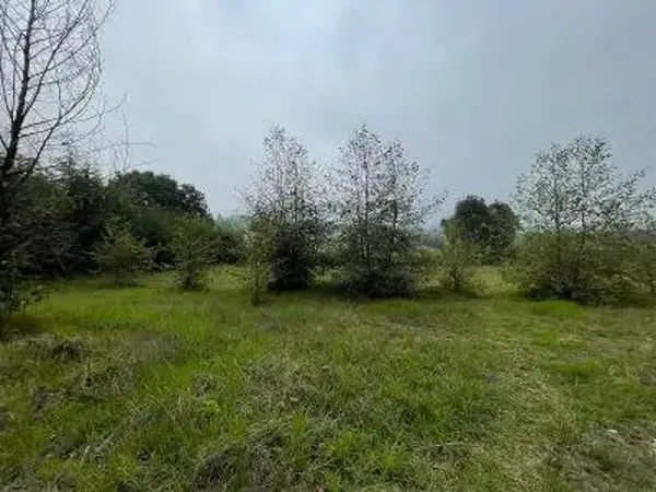 Terreno en venta en San Simón el Alto, Valle de Bravo — foto 3 de 6