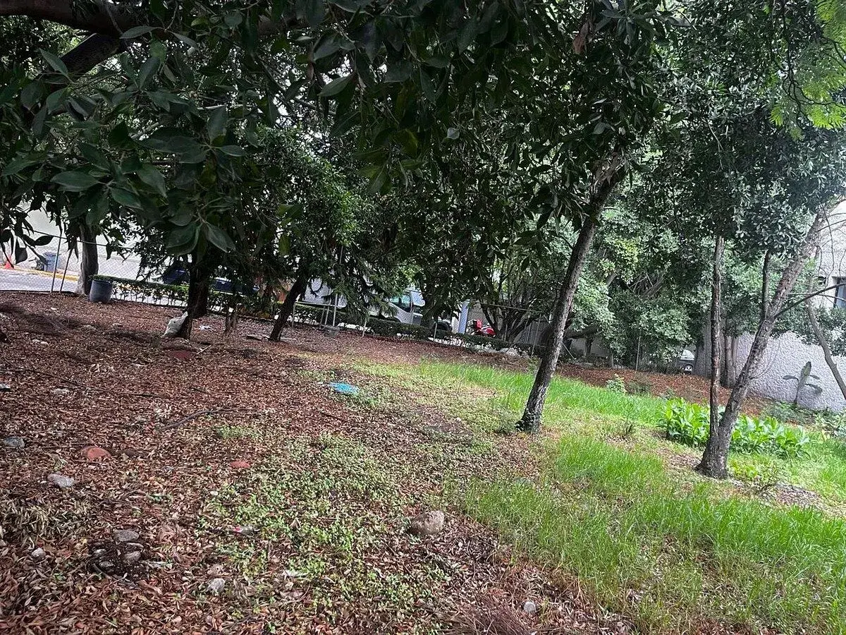 Terreno en venta en Florida, Álvaro Obregón — foto 1 de 18