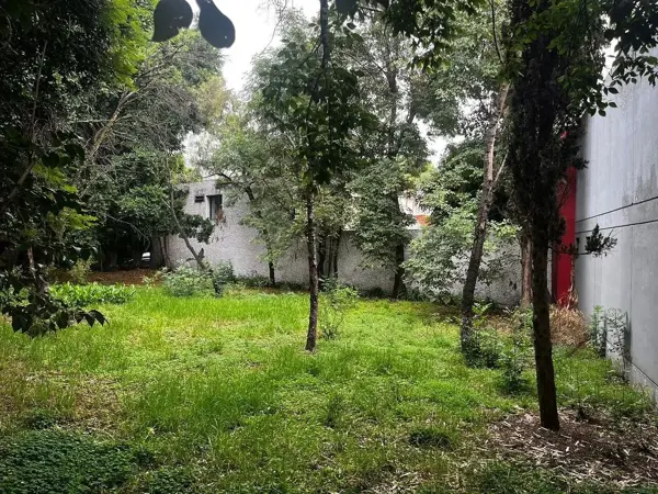 Terreno en venta en Florida, Álvaro Obregón — foto 3 de 18