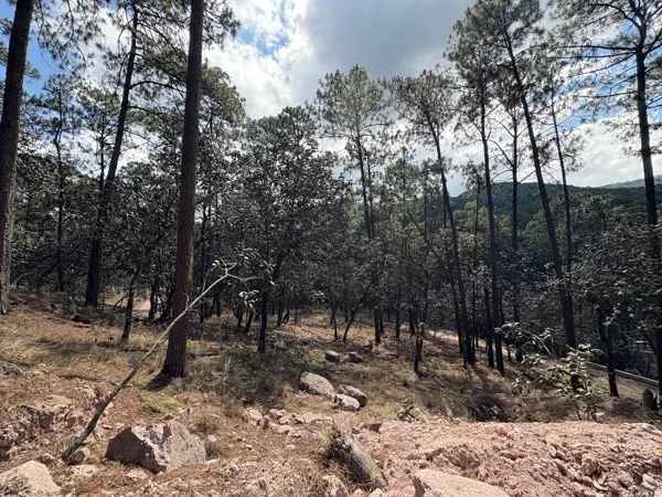 Terreno en venta en Cerro Gordo, Valle de Bravo — foto 2 de 26