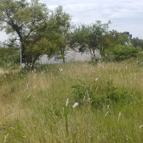 Terreno en Resurgimiento Atotonilco, Puebla, Puebla
