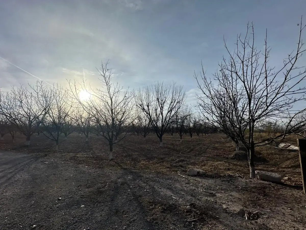 Terreno en venta en La Luz, San Pedro — foto 1 de 17