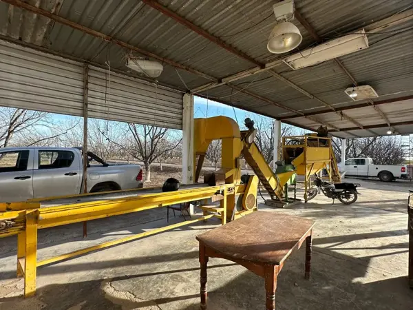 Terreno en venta en La Luz, San Pedro — foto 3 de 17