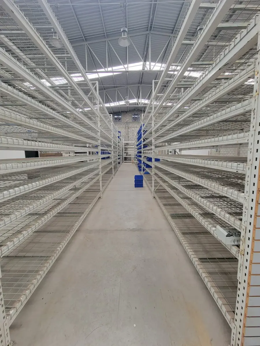 Vista 3 de Bodega en Renta en Aeropuerto, Torreón, Coahuila de Zaragoza
