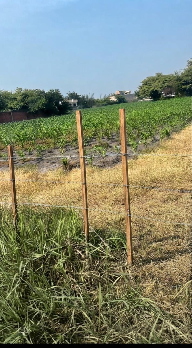 Terreno en venta en Acapatzingo, Cuernavaca — foto 1 de 8
