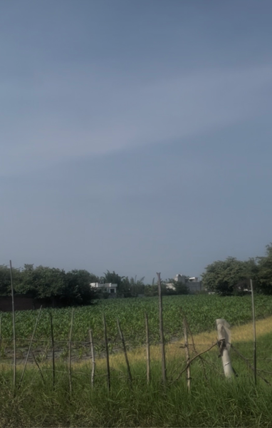 Terreno en venta en Acapatzingo, Cuernavaca — foto 2 de 8