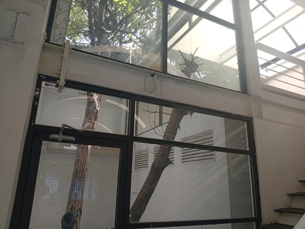 Local en renta en Plazas de San Buenaventura, Toluca — foto 2 de 9
