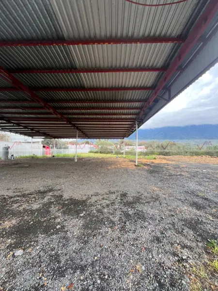 Terreno en renta en Independencia, Allende — foto 3 de 12