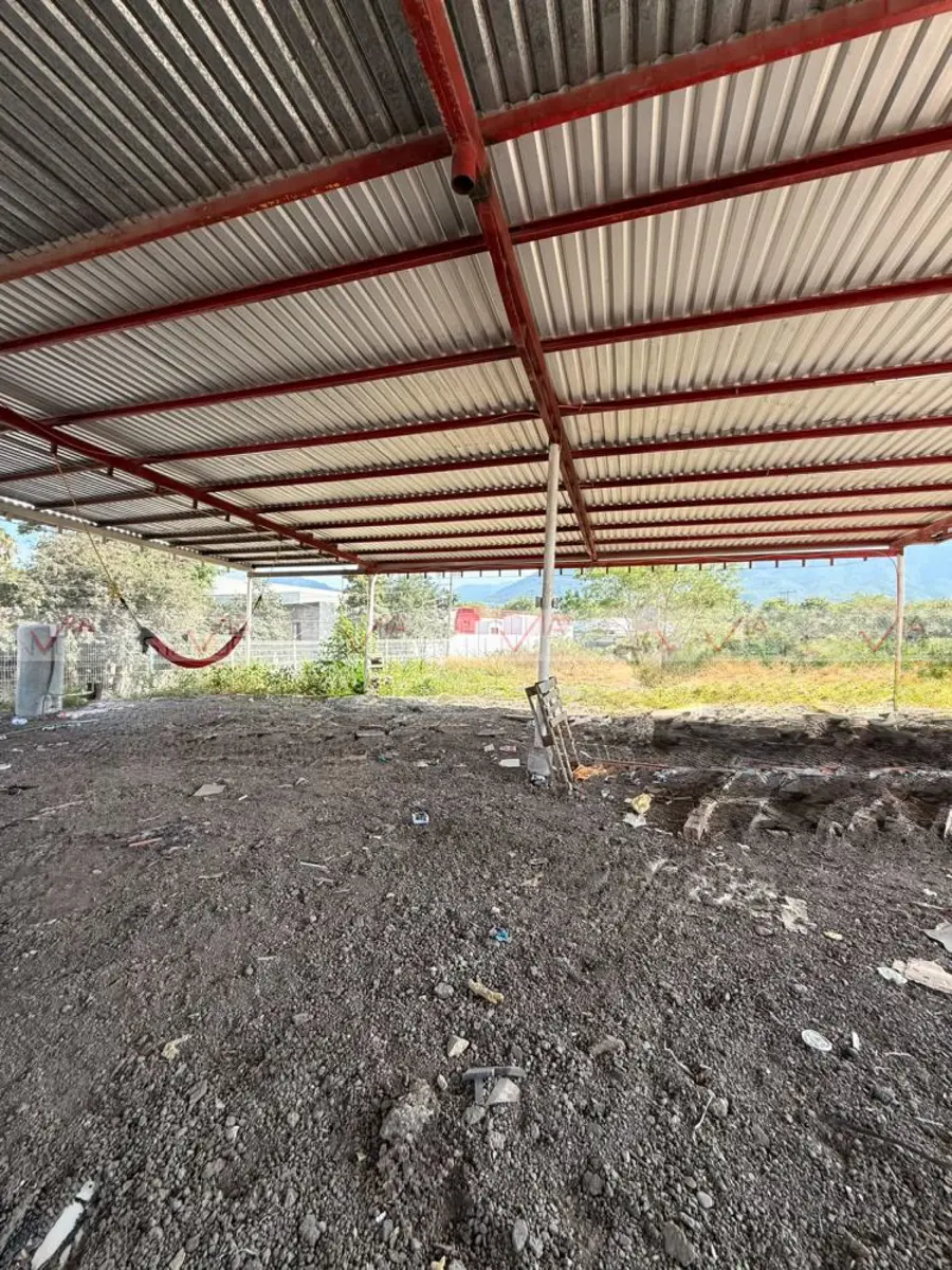 Terreno en renta en Independencia, Allende — foto 1 de 12