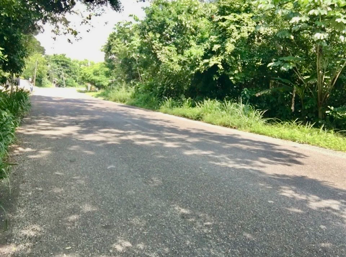 Terreno en venta en Buena Vista Río Nuevo 1ra. Sección, Centro — foto 1 de 5