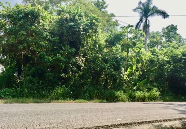 Terreno en venta en Buena Vista Río Nuevo 1ra. Sección, Centro — foto 3 de 5