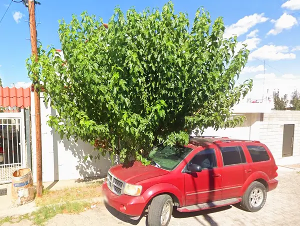 Casa en venta en Las Granjas, Chihuahua — foto 2 de 7