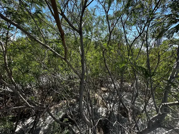 Terreno en renta en Agrícola Acero, Monterrey — foto 2 de 12