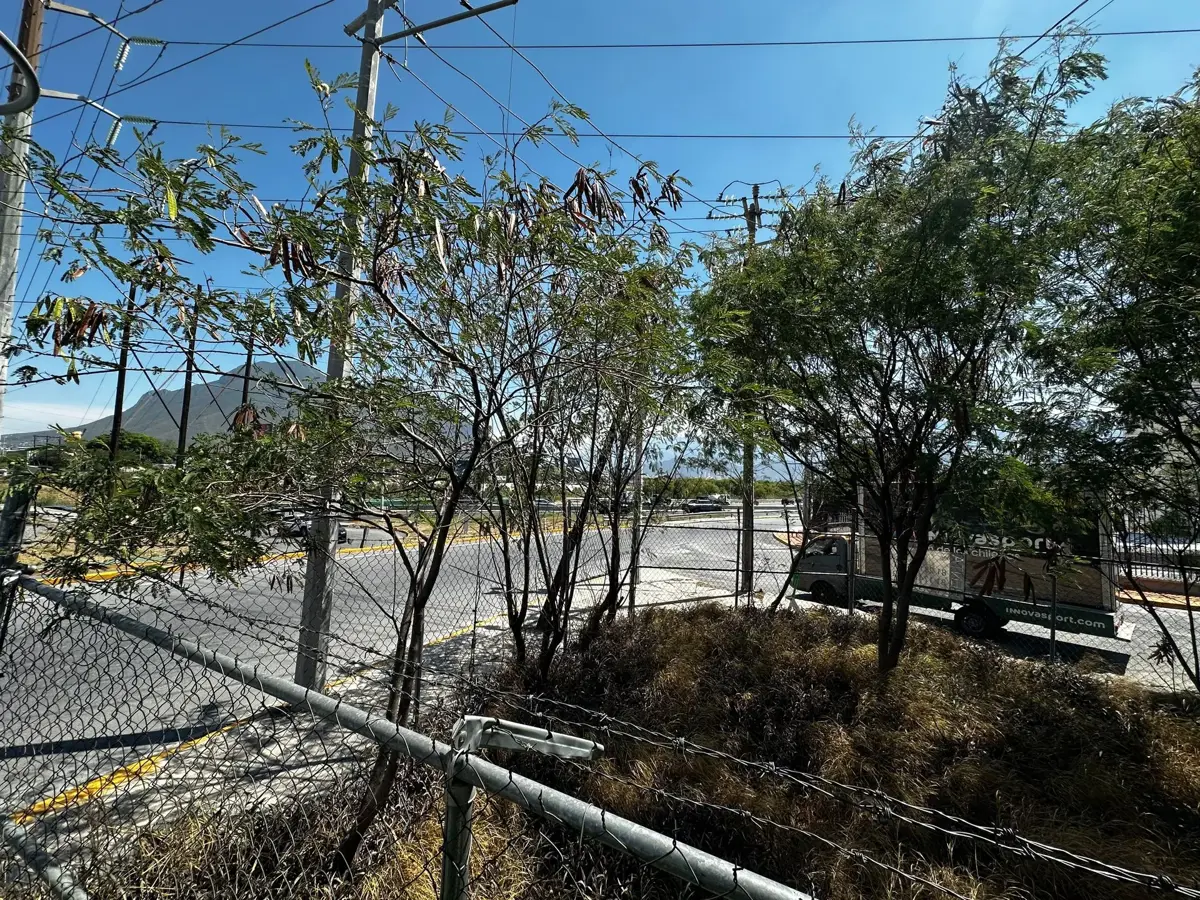 Foto 8
