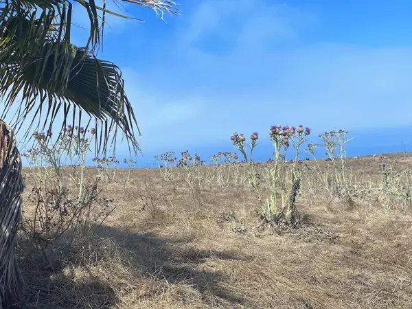 Terreno en venta en Misión del Mar II, Playas de Rosarito — foto 2 de 6