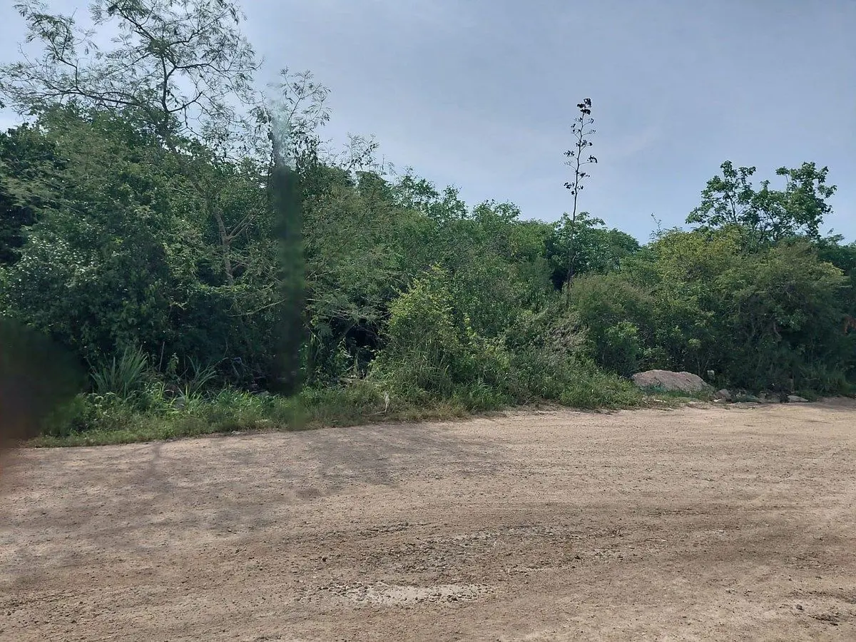 Terreno en venta en Campestre Flamboyanes, Progreso — foto 1 de 10