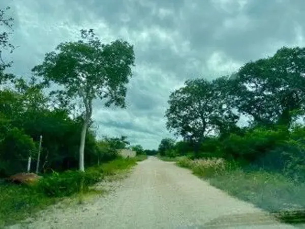 Terreno en venta en Komchen, Mérida — foto 2 de 10