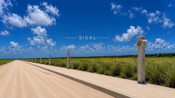 Terreno en venta en Sisal, Hunucmá — foto 2 de 11