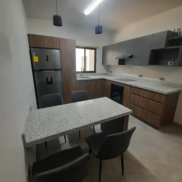 DEPARTAMENTO AMUEBLADO, COL. SAN ISIDRO