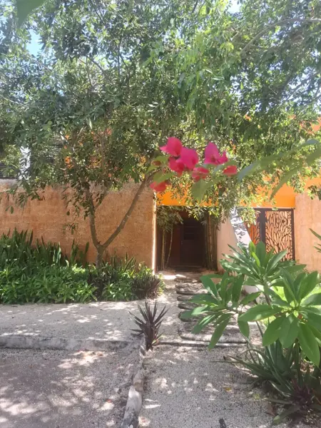 CASA EN RENTA – DISEÑO MODERNO, EXCELENTE ESTADO