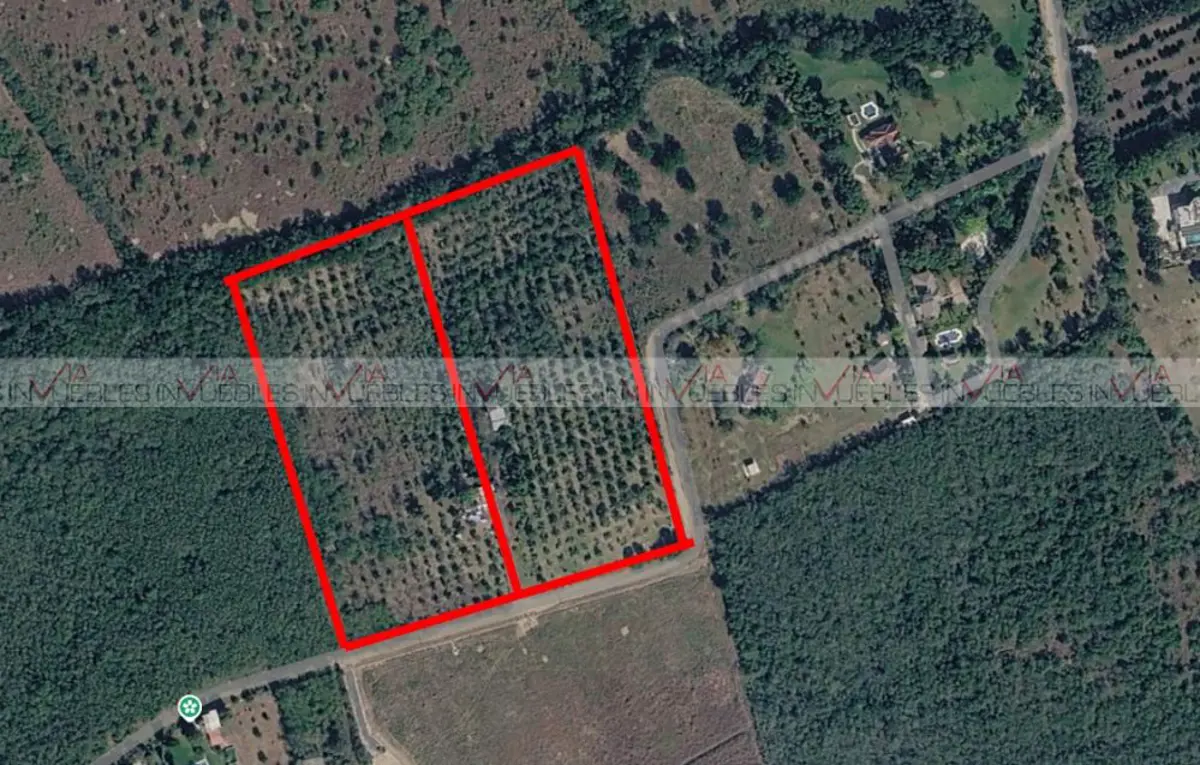 Terreno en venta en Lajitas de Arriba, Cadereyta Jiménez — foto 1 de 22