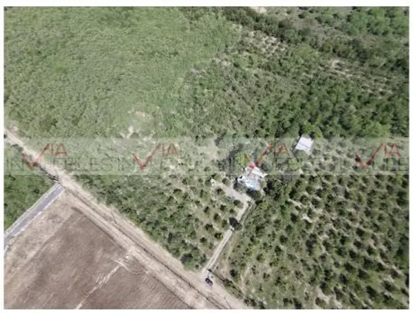 Terreno en venta en Lajitas de Arriba, Cadereyta Jiménez — foto 3 de 12