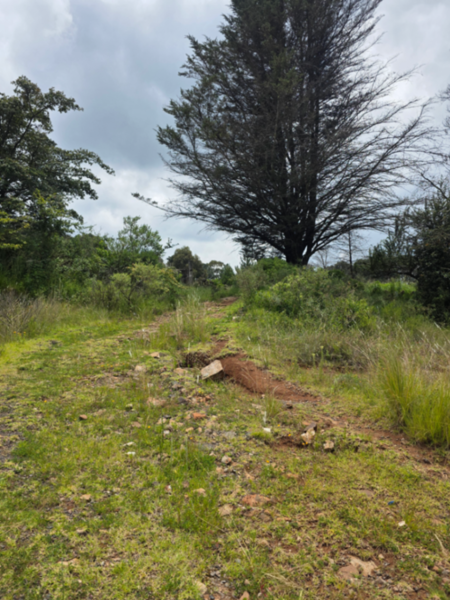 Terreno en venta en Amealco de Bonfil Centro, Amealco de Bonfil — foto 2 de 9