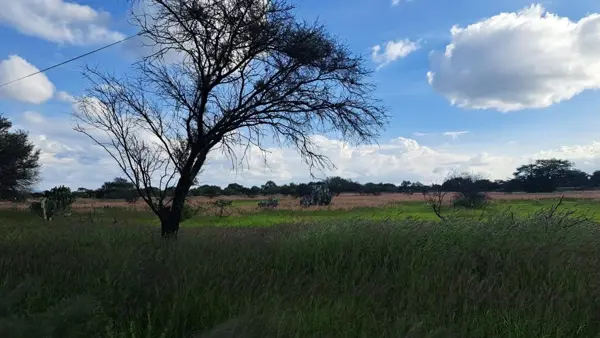 Terreno en venta en Santillan, Tequisquiapan — foto 3 de 5