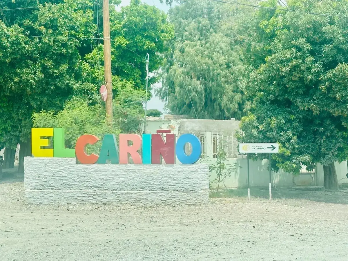 Terreno en venta en El Cariño, Gómez Palacio — foto 1 de 5