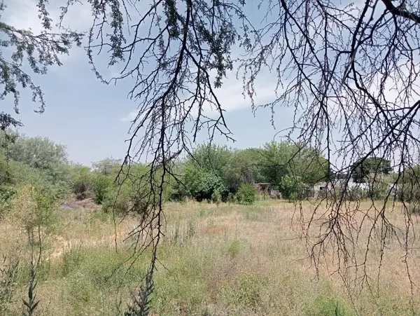 Terreno en venta en El Cariño, Gómez Palacio — foto 2 de 5