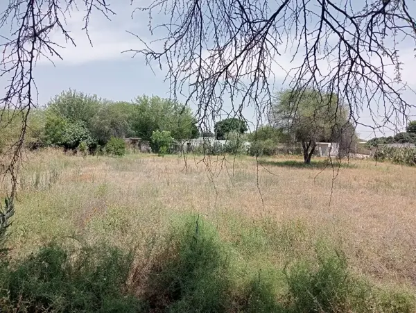 Terreno en venta en El Cariño, Gómez Palacio — foto 3 de 5