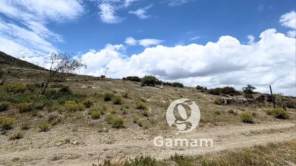 Terreno en venta en San Juan Tilcuautla, San Agustín Tlaxiaca — foto 3 de 15