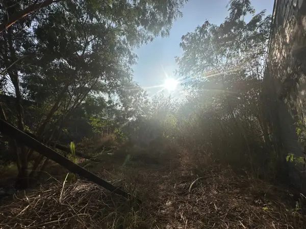 Terreno en venta en Monterrey Centro, Monterrey — foto 3 de 8