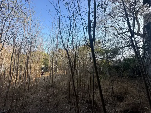 Terreno en venta en Monterrey Centro, Monterrey — foto 2 de 8