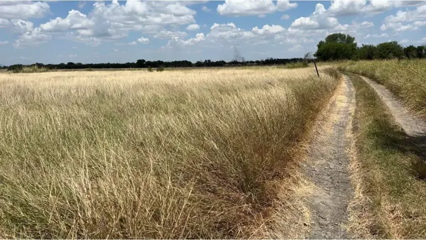 Terreno en venta en Palmitos, Cadereyta Jiménez — foto 2 de 4