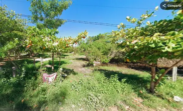 Terreno en venta en Celestun, Celestún — foto 2 de 14