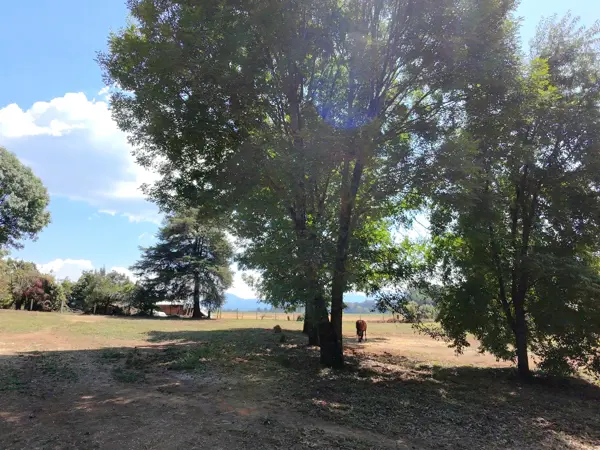 Terreno en venta en San Mateo Acatitlán, Valle de Bravo — foto 2 de 14