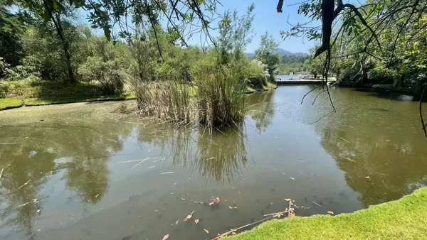 Terreno en venta en Santo Tomás el Pedregal, Valle de Bravo — foto 2 de 11
