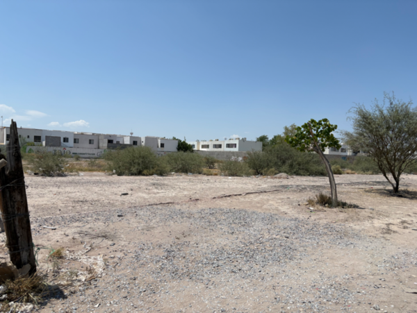 Terreno en renta en El Castaño, Torreón — foto 2 de 6