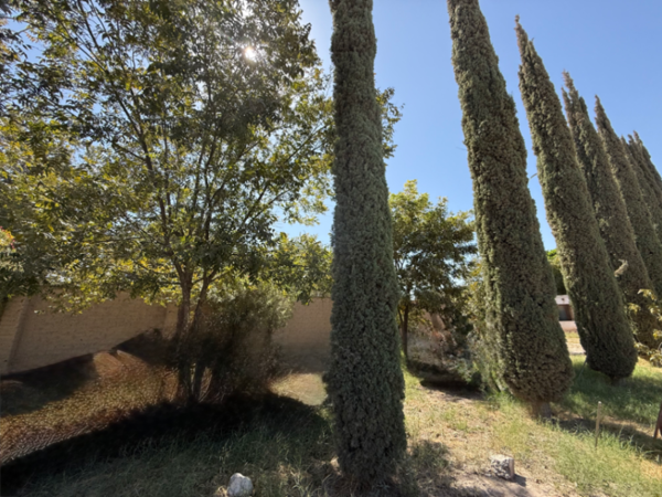 Finca-Rancho en venta en El Cariño, Gómez Palacio — foto 2 de 10