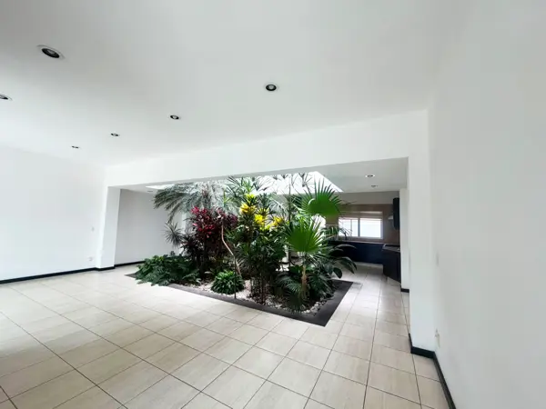 Casa en renta en Bosque Monarca, Morelia — foto 2 de 15