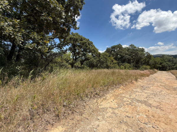 Terreno en venta en Campestre Haras, Amozoc — foto 3 de 9